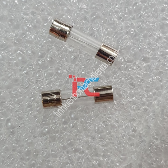Cầu Chì 10A cài