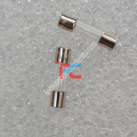 Cầu Chì 10A cài