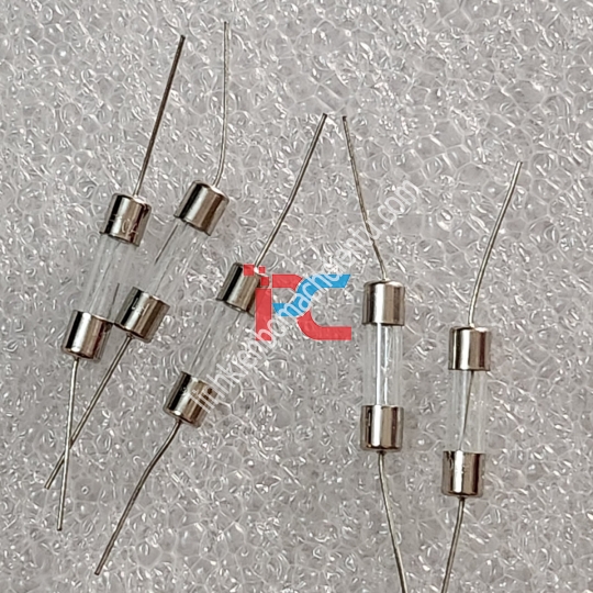 Cầu Chì 10A chân kim