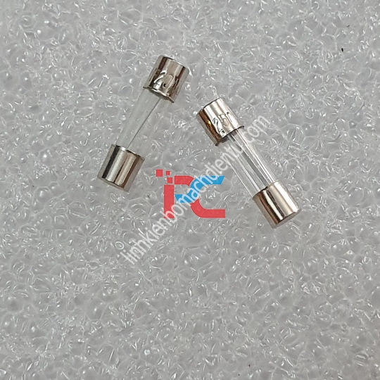 Cầu Chì 20A cài