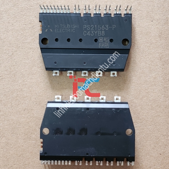 PS21563-P