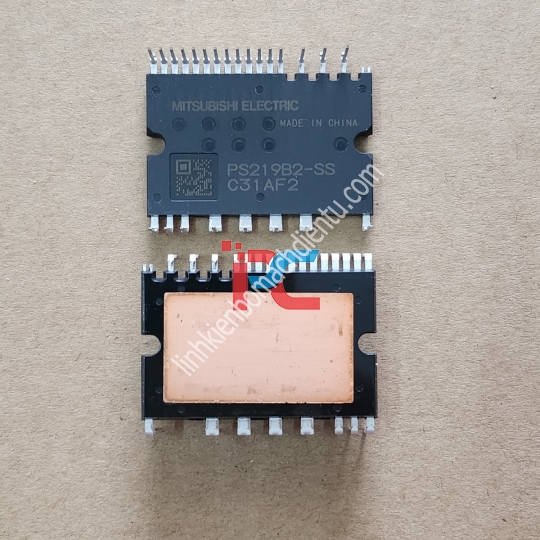 PS219B2-SS